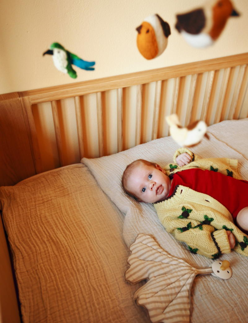 Quax x Familie Kempen by Sarah Wijzenbeek 7