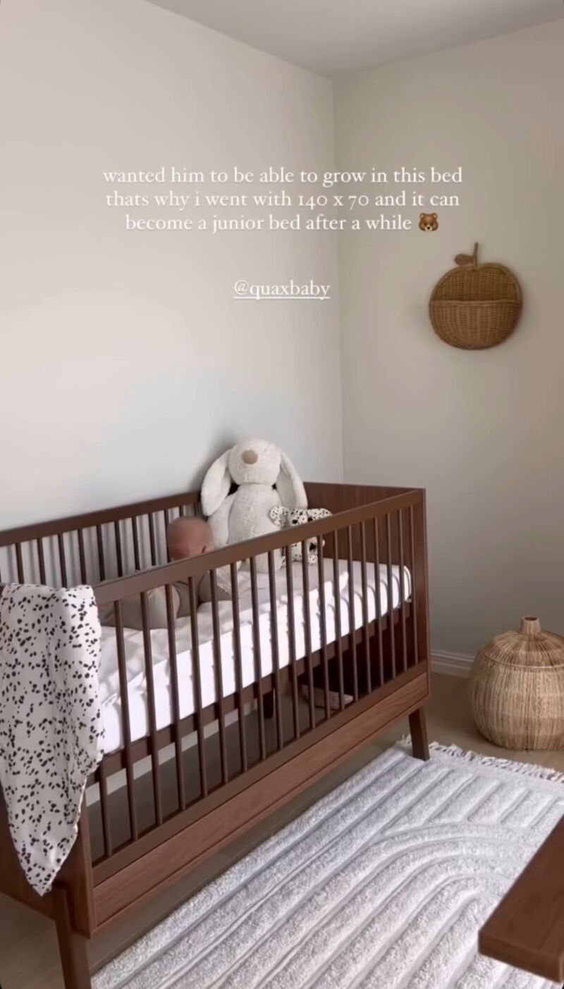 Albertia x Ashi in Chestnut 2