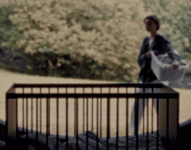 Kyo Walnut GIF